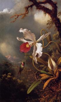 馬丁 約翰遜 赫德 An Amethyst Hummingbird with a White Orchid